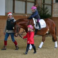 dsc 0170 20171228 1031204088